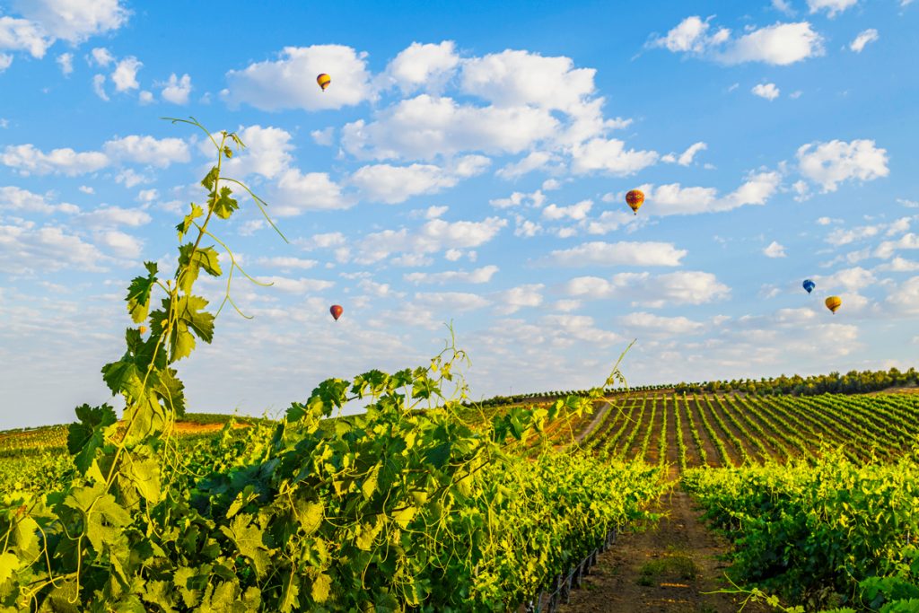 Hot Air Balloons rise over California Wine Country, Temecula, California