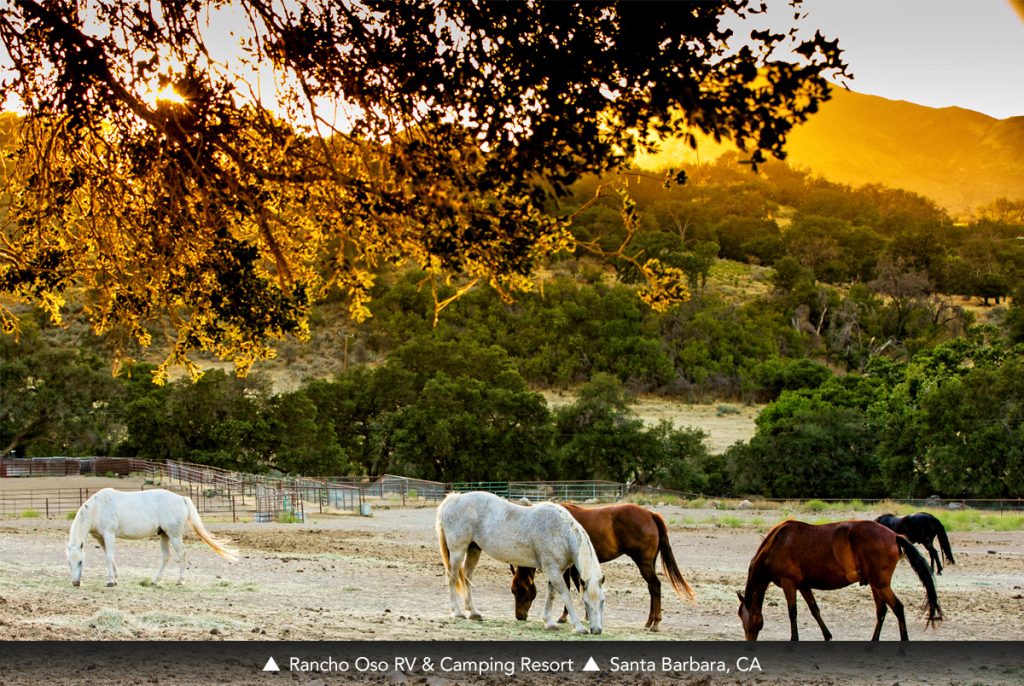 Rancho Oso RV & Camping Resort, Santa Barbara, CA