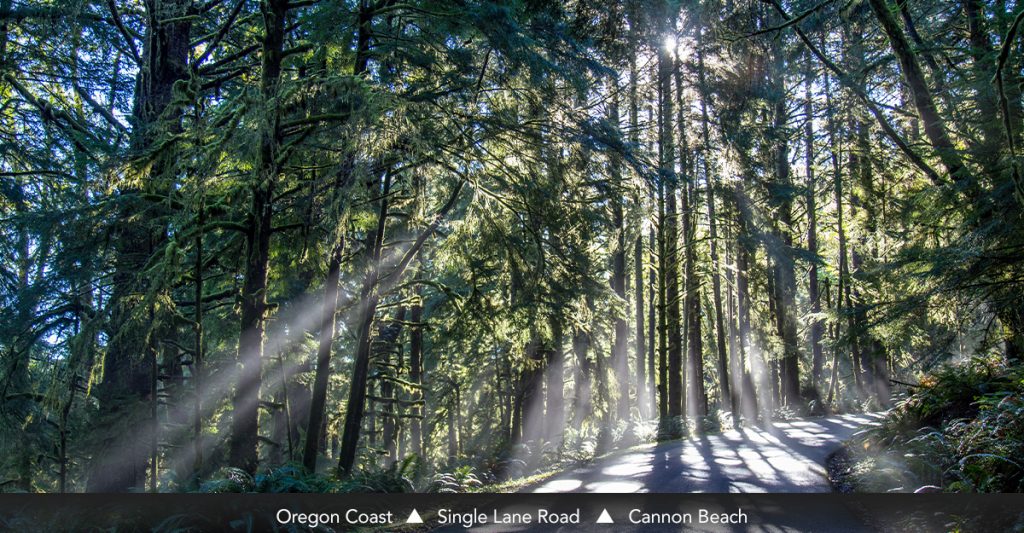 Oregon Coast • Single Lane Road • Cannon Beach