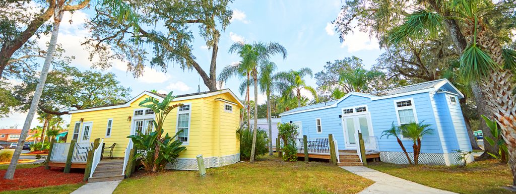 Tropical Palms • Kissimmee, FL