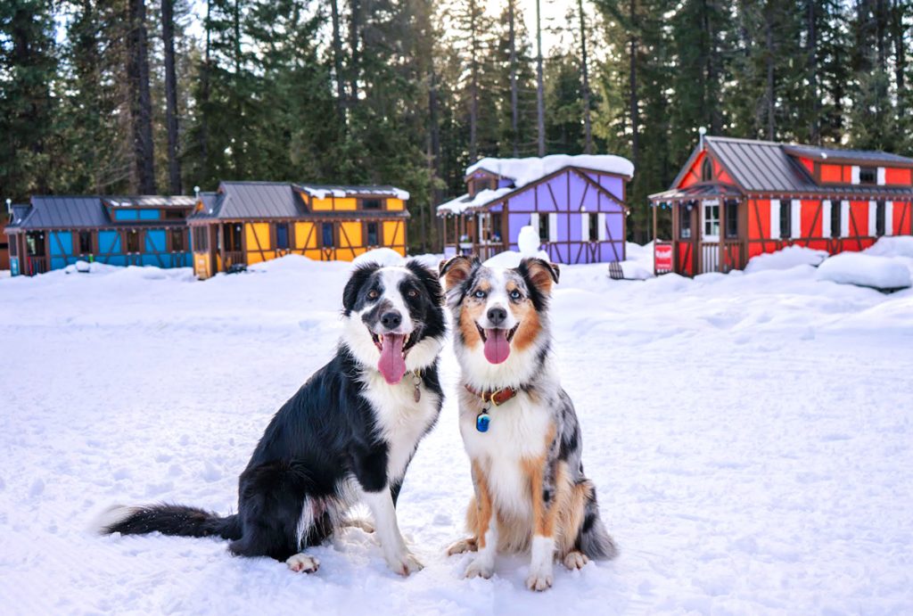 Leavenworth Tiny House Village