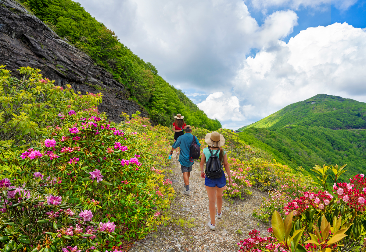 We Found 11 of the Best Hiking Trails