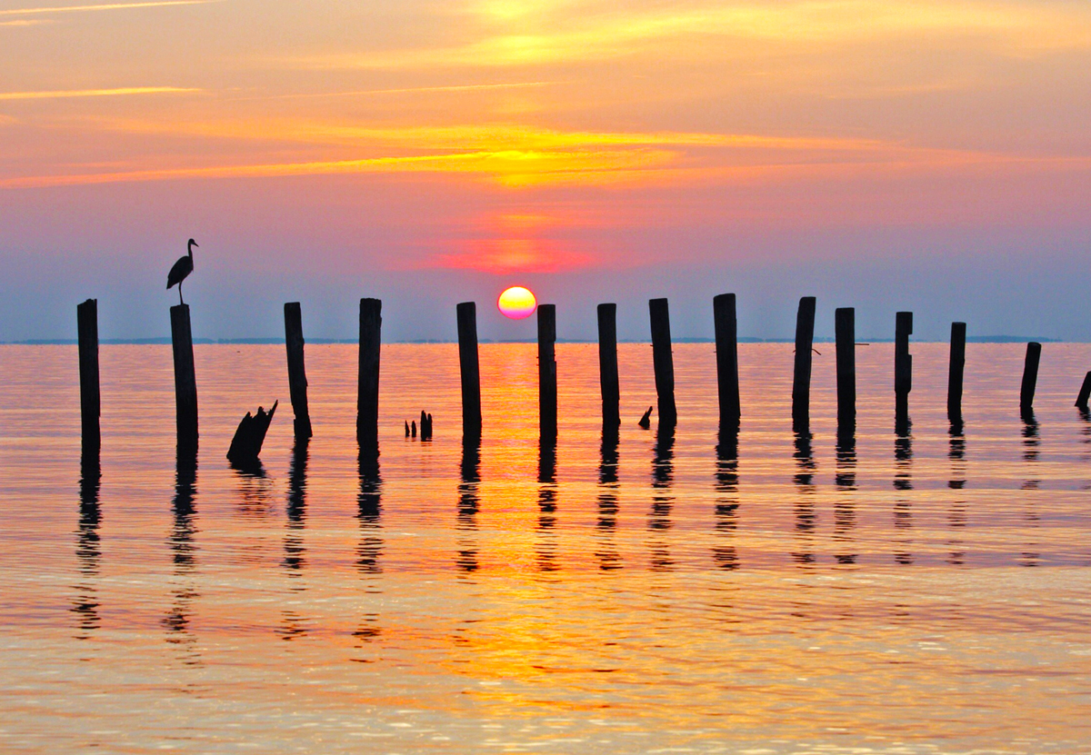 5 Things to Do at the Chesapeake Bay