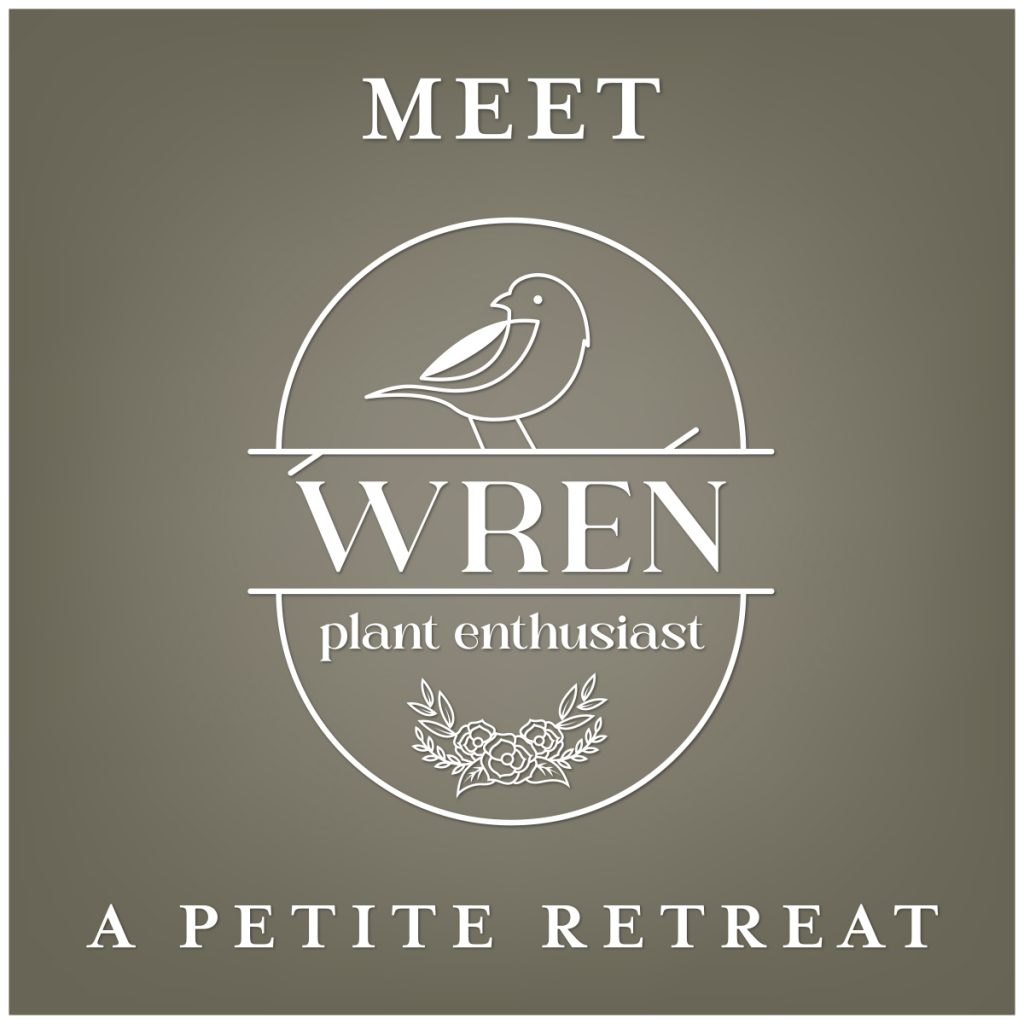 Meet Wren - Plant Enthusiast - A Petite Retreat