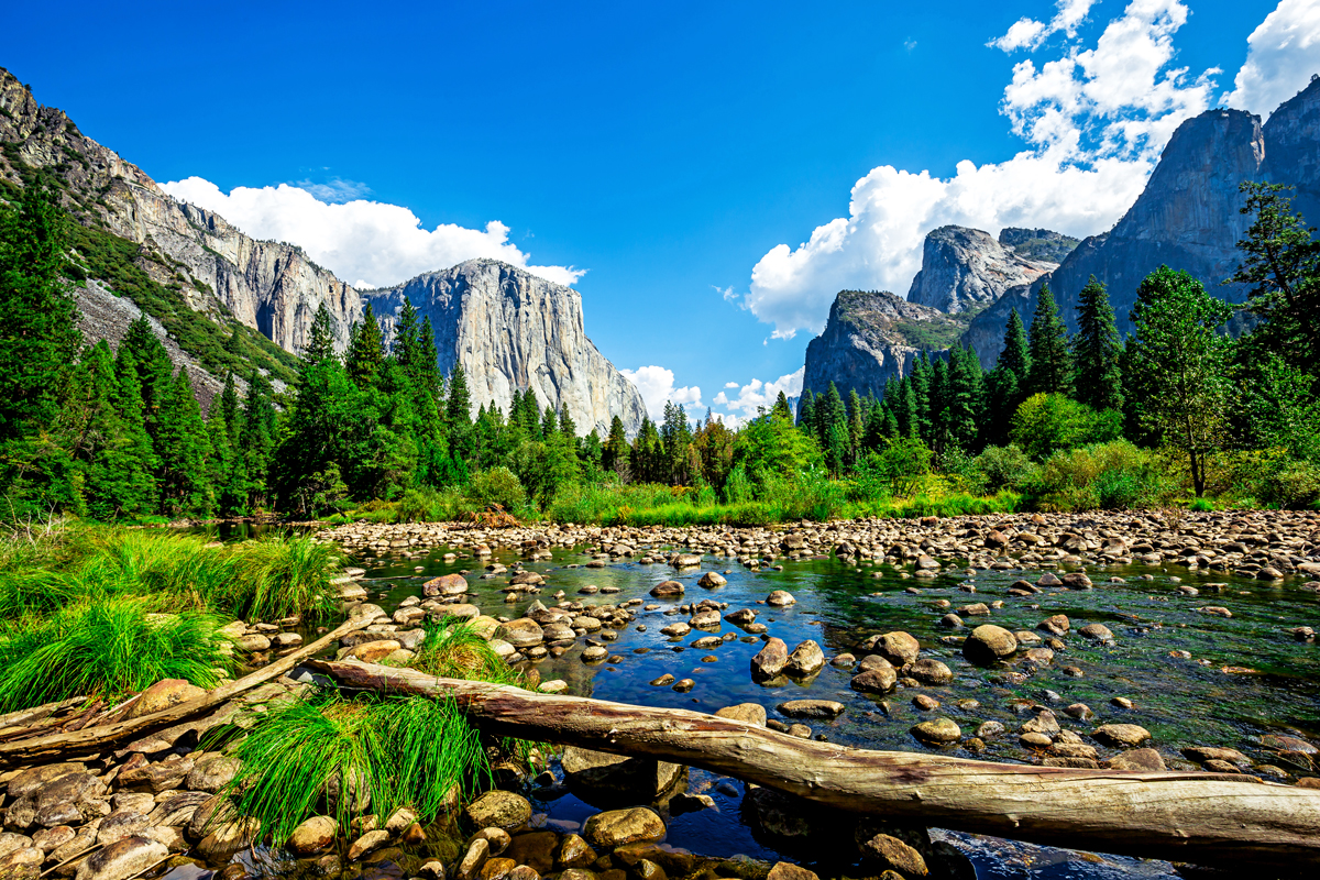 5 Things to Do in Yosemite