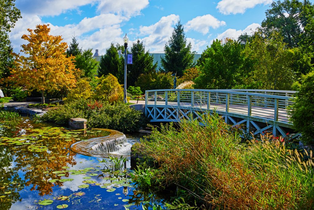 Wellfield Botanic Gardens