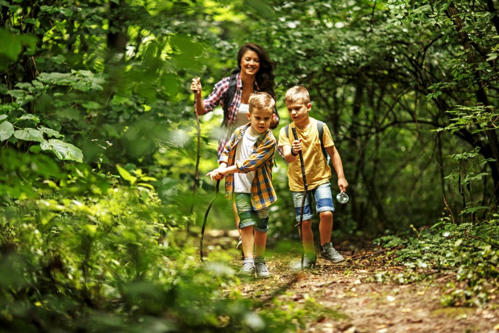 Top 4 Scenic Hikes to Take in August