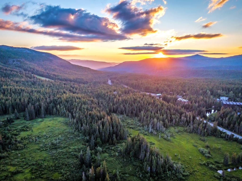 5 Things to Do in theMt. Hood Area