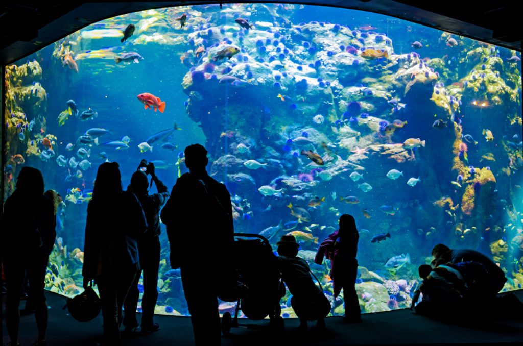 Monterey Bay Aquarium