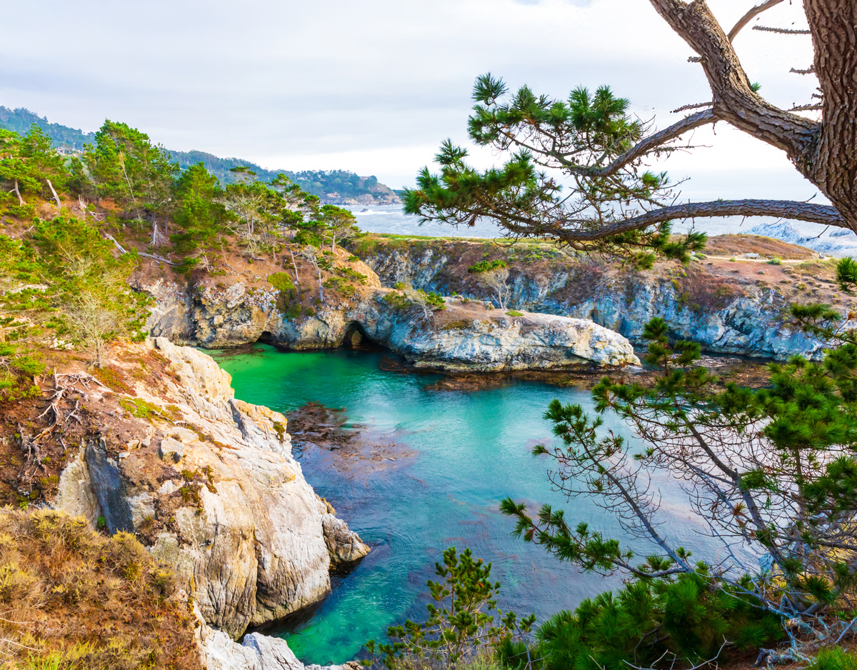 5 Things to Do in California’s Monterey Bay Area