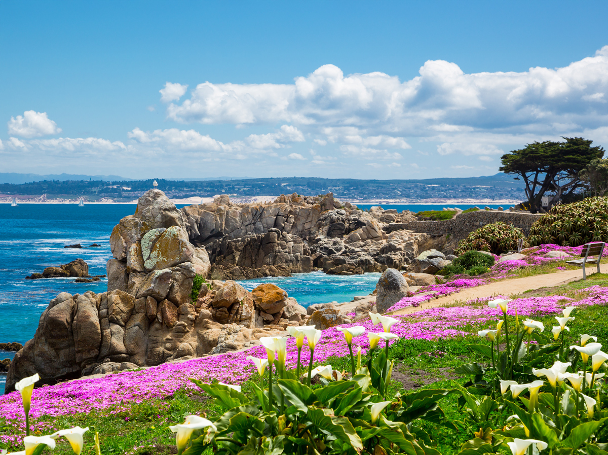 5 Things to Do in California’s Monterey Bay Area