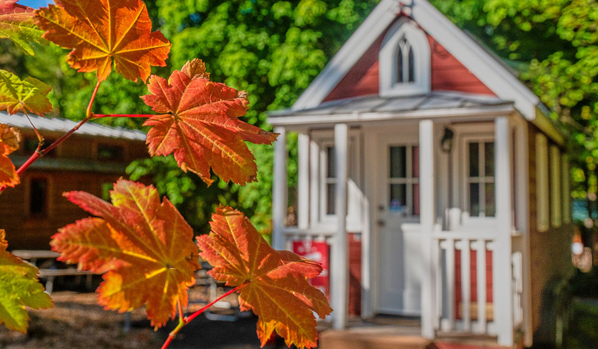 Tiny house at Mt Hood in Welches, OR